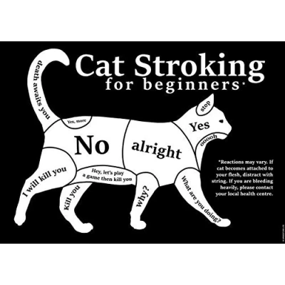 Image of Inga Cat Stroking For Beginners Mini Poster Home Decor Art Wall Metal Sign 8x12 inches