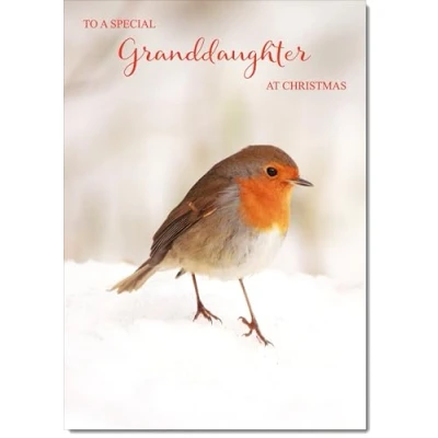 Image of doodlecards Granddaughter Christmas Card Robin on Snow Medium Size for with Plain Envelope