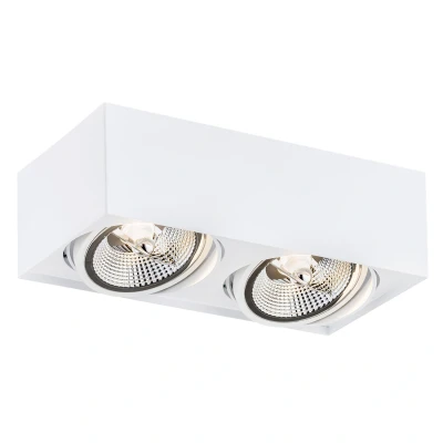 Image of Rodos Plus GU10 Twin Surface Mounted Downlight White Structure