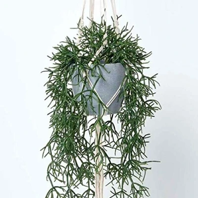 Image of HOMESCAPES Artificial Hanging Basket 116 cm Long Faux Plant In Grey Melamine Pot Rhipsalis Trailing with Macramé Knotted Rope Style Hanger and Hook for Indoor Decoration