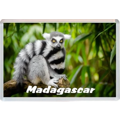 Image of Madagascar 96 x 67mm Jumbo Fridge Magnet/Magnets BBFHM924
