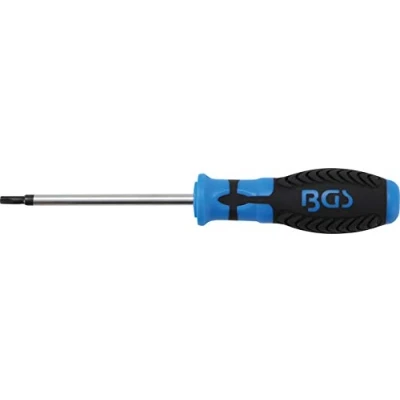 Image of BGS 4920 Screwdriver T Star (for Torx) T25 Blade Length 100 mm