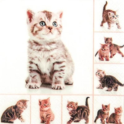 Image of 20 Serviettes Meow Playful Cat/Animals/Animal Motif 33 x cm