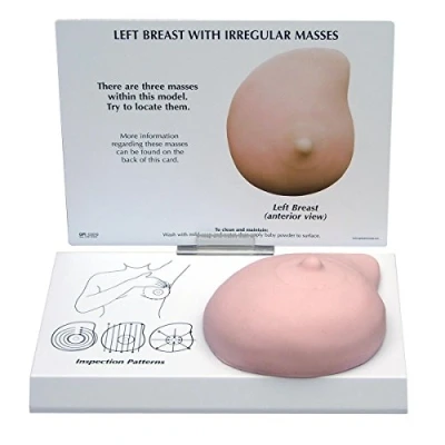 Image of 3B Scientific Left Breast Model with Irregular Masses