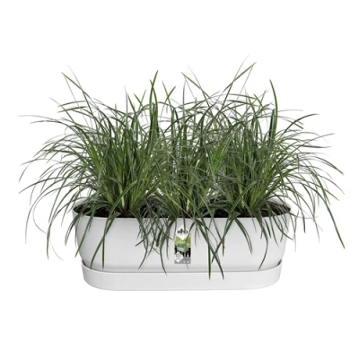 Image of Elho Greenville Easy Balcony 52cm White