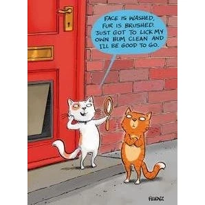 Image of Humorous Greeting Card (PH6223) Birthday Good To Go From The Animal Function Range.