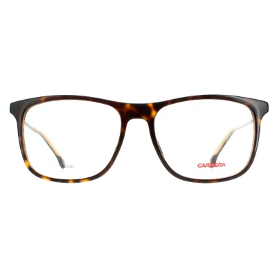 Image of Carrera Square Mens Havana 1125 Brown One Size