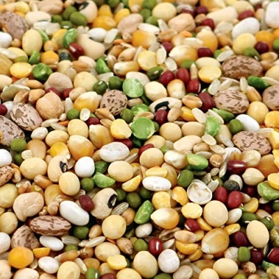 Image of Tidymix Pulse &amp; Rice Soaking Premium Parrot Food (2 kg) For Medium to Large Birds