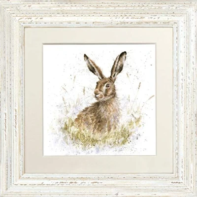 Image of Wrendale Designs&quot;Into The Wild&quot; Rabbit Hare Framed Picture in Various Frame Colours (Distressed White)
