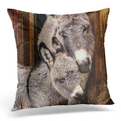 Image of Topyee Cushion Cover Mother and Her Baby Adorable Closeup of Miniature Donkey 45x45cm/18x18 Inch Home Decor Throw Pillow Square Pillowcase for Bed Sofa