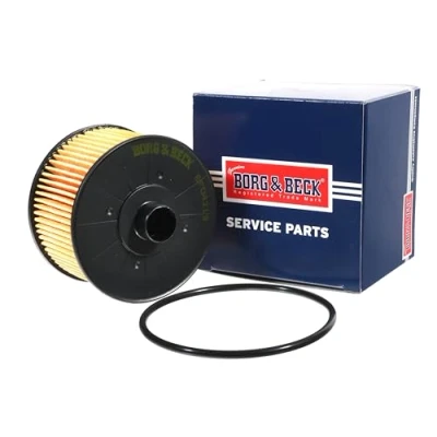 Image of Oil Filter Fits: Nissan Juke, Renault Clio IV