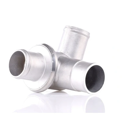 Image of Calorstat TH245F.79 Thermostat, coolant