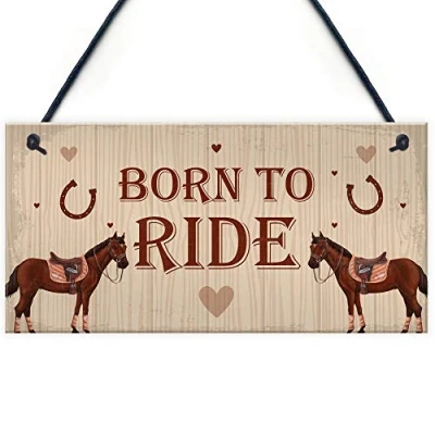 Image of RED OCEAN Horse Sign For Stable Hanging Plaque Funny Birthday Xmas Gift Lover