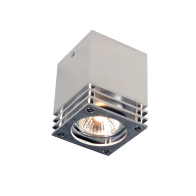 Image of Trio Surface Mounted Downlight Aluminum