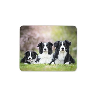 Image of Destination Vinyl Ltd Border Collie Family Mouse Mat Pad Dog Dogs Puppy Farm Fun Computer #8625