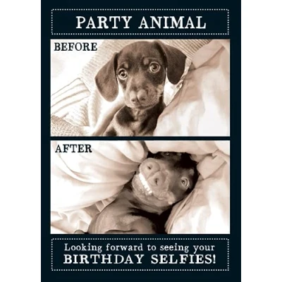 Image of Male/Female Humorous Birthday Card from The Animal Antics Range Dog Taking Party Selfies