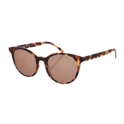 Image of Zen Unisex Z471 Oval Shape Acetate Sunglasses Brown One Size