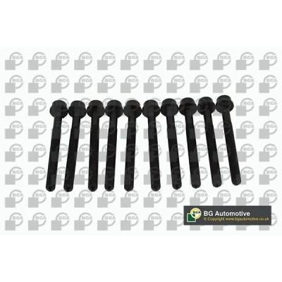 Image of WHT00530510x, WHT005305x10 Cylinder Head Bolt Kit BGA BK0102 AUDI: A3 Sportback, A4 B8 Saloon, VOLKSWAGEN: Golf 7, Passat B6 Saloon