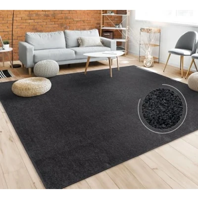 Image of Paco Home Living Room Rug Plain Simple and Modern Short Pile, Various Sizes colours, Size:60x100 cm, Colour:Black