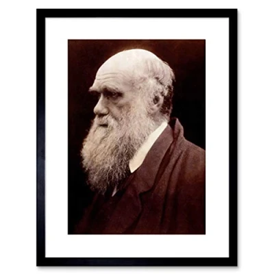 Image of Wee Blue Coo Photo Portrait Cameron Naturalist Charles Robert Darwin Framed Art Print