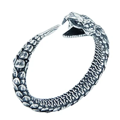 Image of WYPAN 925 Sterling Silver Norse Viking Ouroboros Ring for Men,Vintage Gothic Nordic Pagan Jewelry Boys Personalise Gift