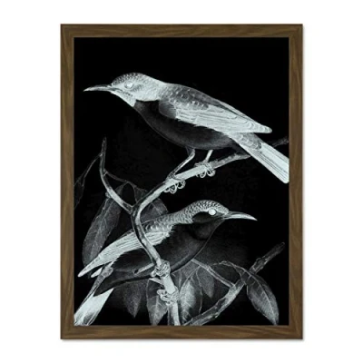 Image of Wee Blue Coo Birds Illustration Night Large Framed Art Print Wall Poster 18x24 inch