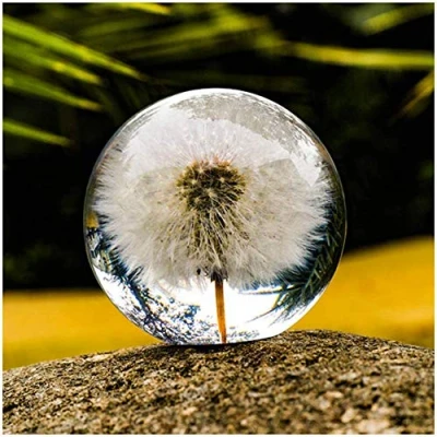 Image of zhyx Dandilions paperweight Dandelion Dreamball Resin Crystal Ball Dream Unique The gifts for Family Lovers Children and Friends (6 cm)