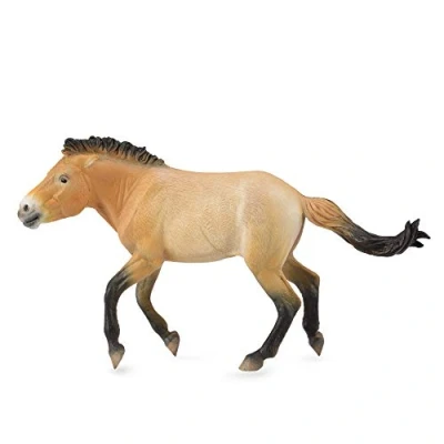 Image of CollectA Przewalski Stallion