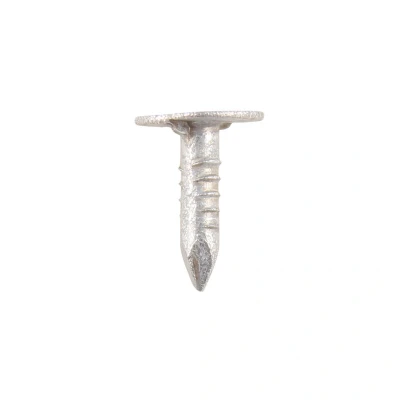 Image of 2x TIMCO Extra Large Head Clout Nails Galvanised GEC13LB