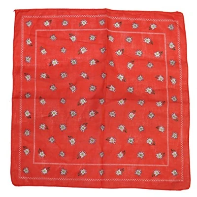 Image of Zac&#039;s Alter Ego Vintage Style Winter Floral Print on Red Cotton Bandana