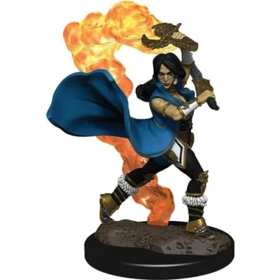 Image of Human Cleric Female Pathfinder Battles Premium Painted Figure (W2)