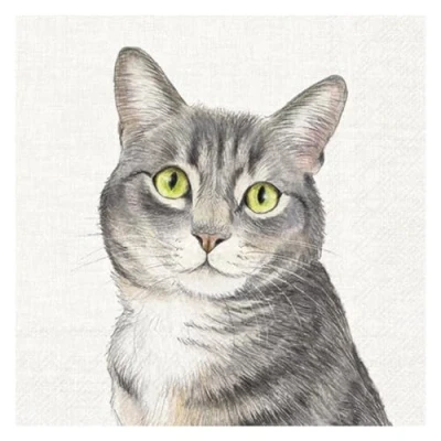 Image of 20 Napkins Animal Motifs Single Cat Table Decoration Paper with Motif Also for Decoupage and 33 x cm