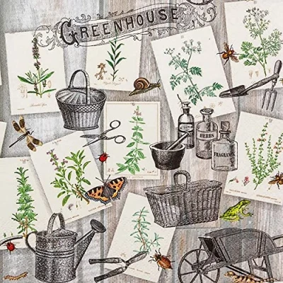 Image of 20 Napkins Growing of Herbs Garden Table Decoration Decoupage Napkin Technology 33 x cm