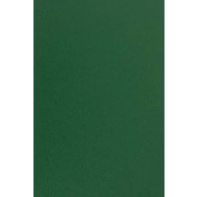 Image of Netuno 50 Sheets of Coloured Paper Dark Green DIN A4 210 x 297 mm 115 g Sirio Colour Foglia Fine Craft Printable Colourful Sheet for Invitations Thank You Cards