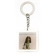 Image of King Charles Spaniel Dog Keyring