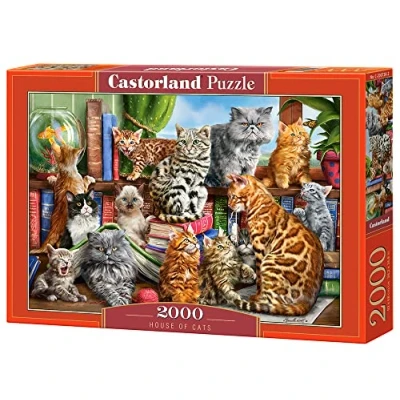 Image of Castorland CSC200726 Puzzle, Various