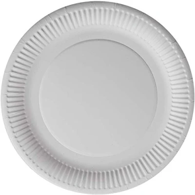 Image of LARGE Paper Plates 23cm PACK Of 100, Ecofriendly Disposable Plates, Biodegradable Birthday Party Used with HOT &amp; COLD Foods, for Christmas Party, Picnic
