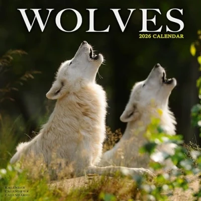 Image of Wolves Calendar 2026