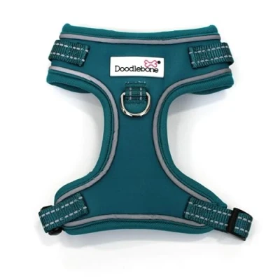 Image of Adjustable Airmesh, Teal, 4 7