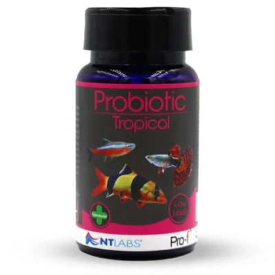 Image of NT Labs Pro F Probiotic Tropical Fish Food For Freshwater (Contain Viable Cultures) Granules Aquariums, Supports Immune System, Highly Nutritious Spirulina (45g)