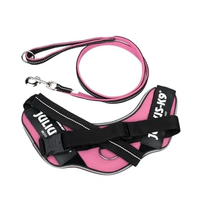 Image of IDC Powair Bundle Harness, Size: L/1, Pink + Leash, 1,2 m with Handle and Large Carabiner,