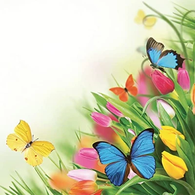 Image of Daisy 3 Ply Flowery Tissue Paper Napkins Serviettes for Decoupage Lunch 33cm x Pack of 20 (Tulips &amp; Butterflies)