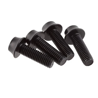 Image of Wolf Tooth Water Bottle Cage Bolts Black Bike Accessories Custom Parts Precision Engineered