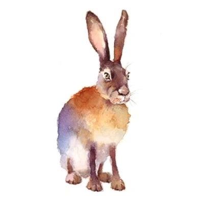 Image of Wee Blue Coo Hare Watercolour Isolated Unframed Art Print Poster Wall Decor 12x16 inch