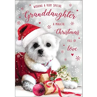 Image of Piccadilly Greetings Cute (Photo) Christmas Card Granddaughter 7 x 5 inches