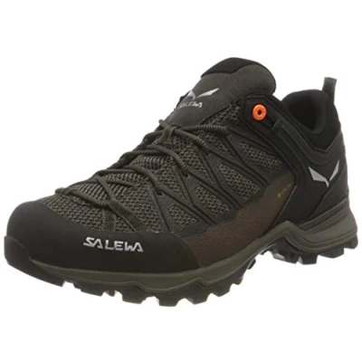 Image of SALEWA Ms Mtn Trainer Lite Gtx, Wallnut/Fluo Orange, 6, MALE