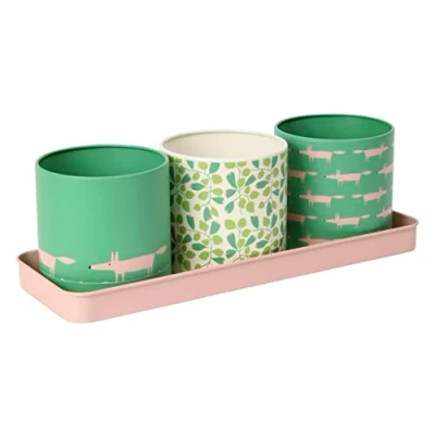 Image of Scion Living Mr Fox Set of 3 Herb Pots Mint Leaf