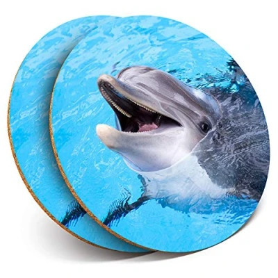 Image of 2 x Round Coasters Happy Dolphin Ocean Water Cork Backed Home Kitchen Accessory Tea Coffee Mug Mat #14574
