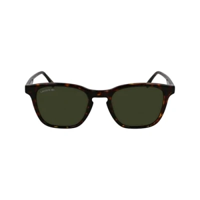 Image of Sunglasses Lacoste L6040s col. 214 Uomo Squadrata Havana