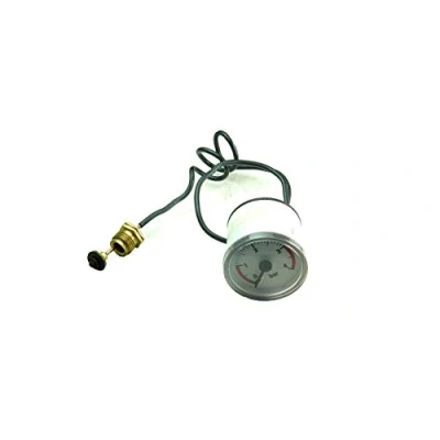 Image of HEATLINE CAPRIZ PLUS 24 24A 28 28A BOILER PRESSURE GAUGE D020113393